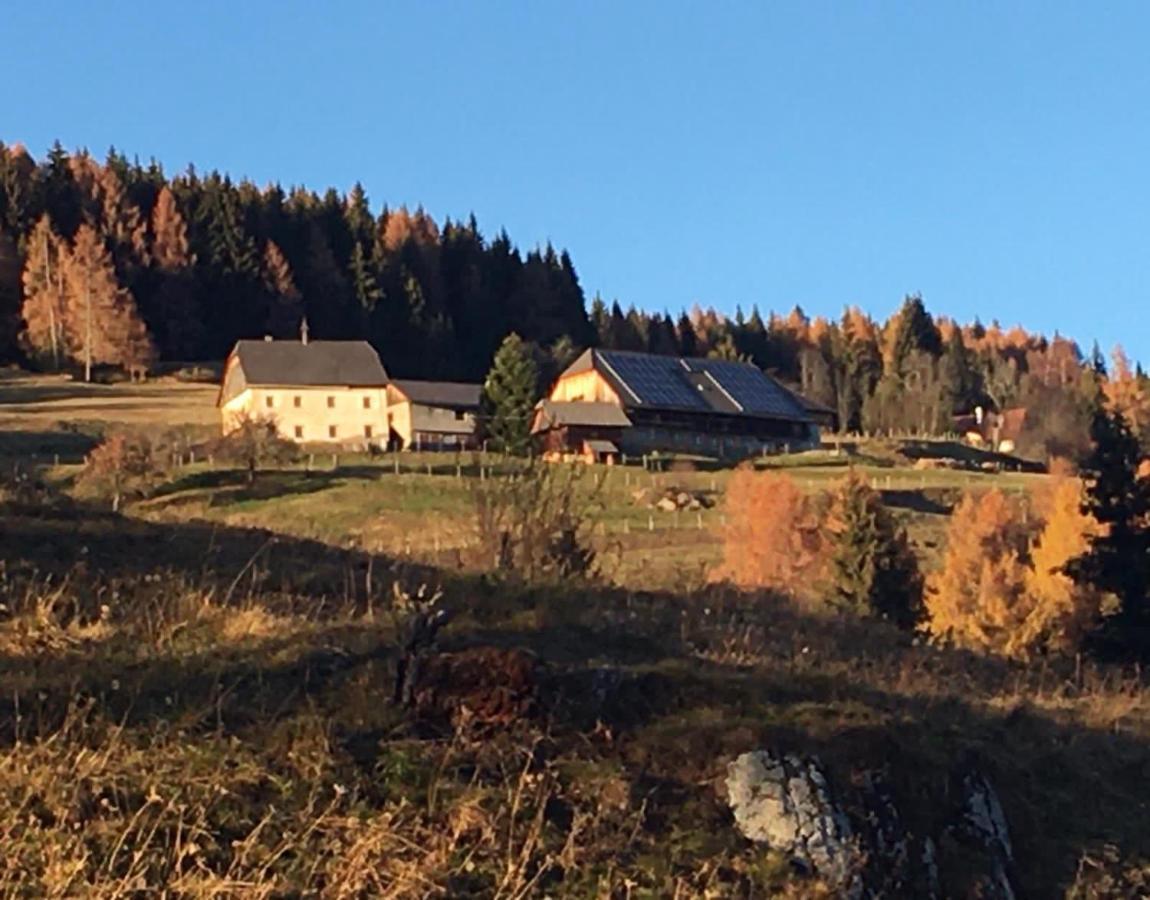 Aparthotel Zum Wohle Oberwoelz Stadt Exterior foto